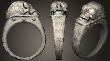 Jewelry rings skull ring 3d model
